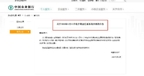 商業(yè)承兌匯票信息查詢系統(tǒng) 提升商務(wù)信息咨詢效率的關(guān)鍵工具